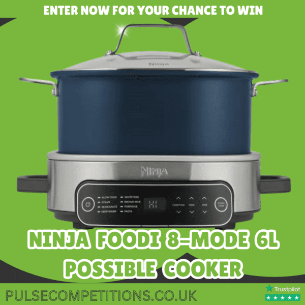 Ninja 8-Mode 6l Possible Cooker